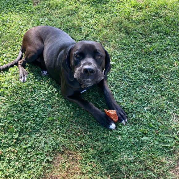 Meet your Posher, Jon - Picture 10 of 11